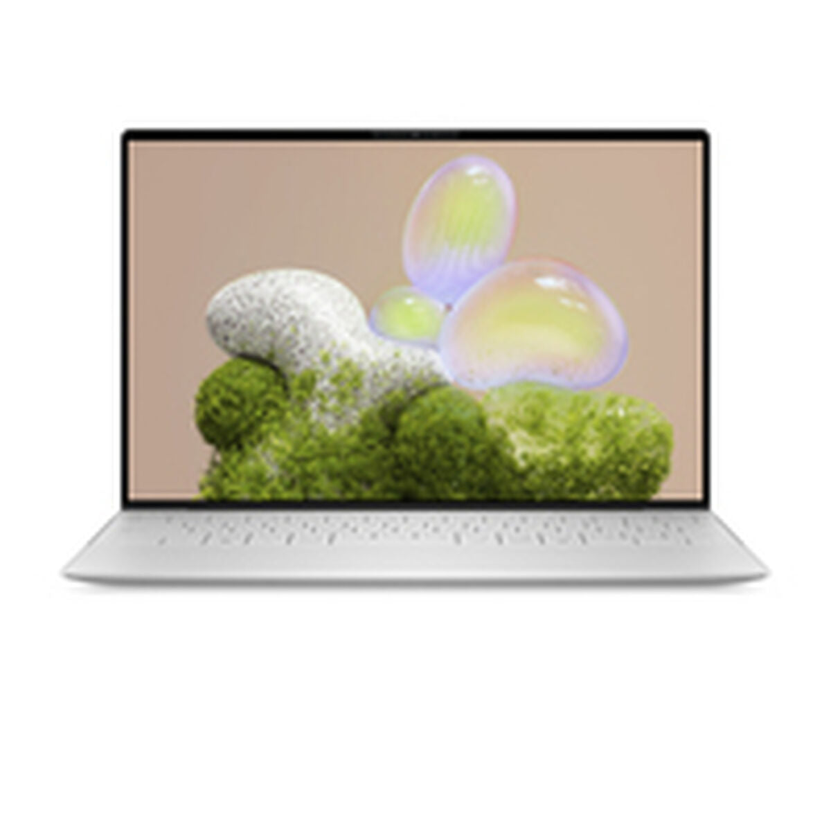 Laptop Dell FMDDY-0
