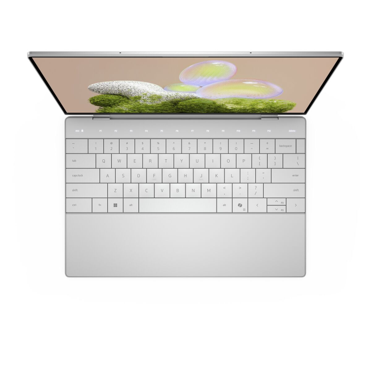 Laptop Dell FMDDY-2