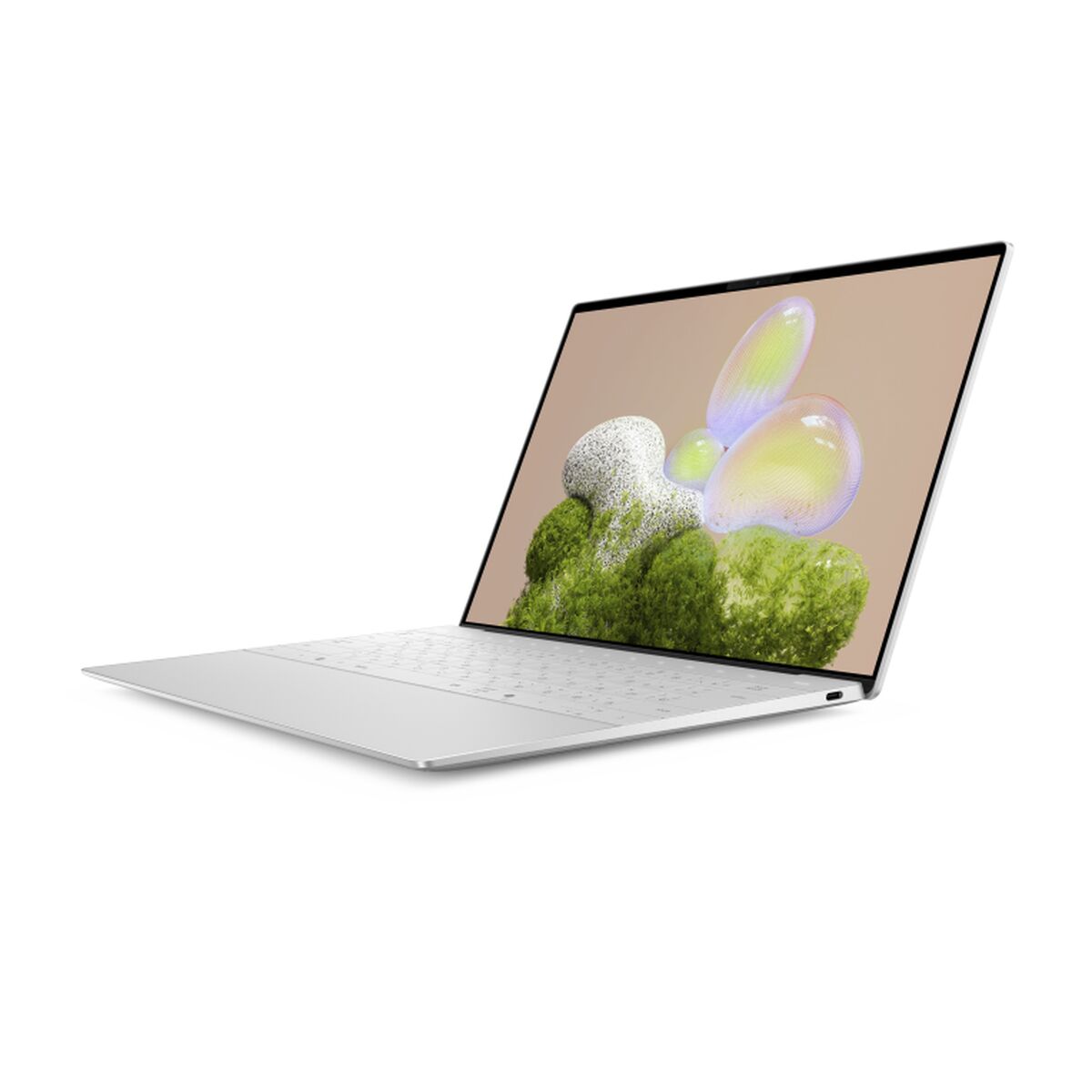 Laptop Dell FMDDY-10