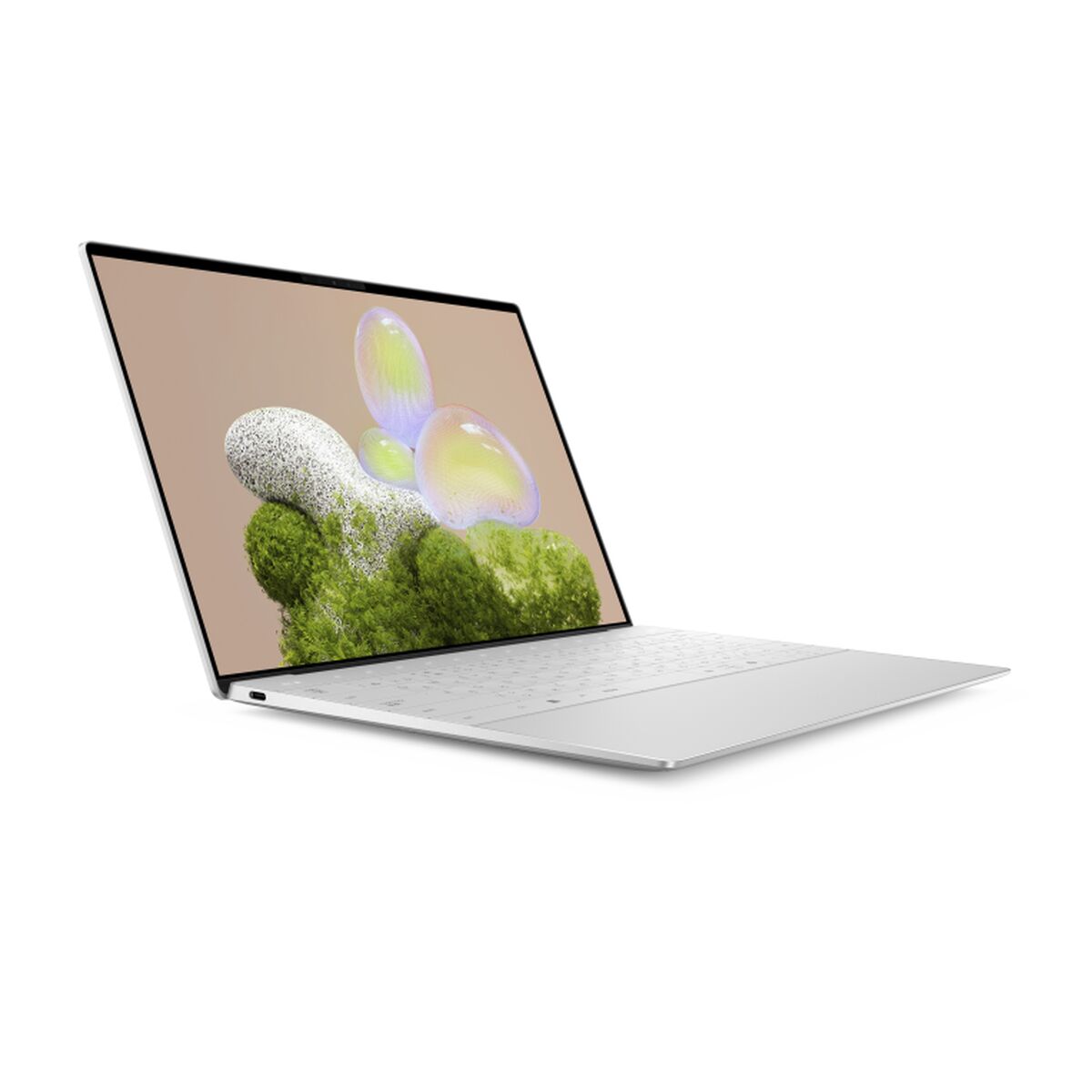 Laptop Dell FMDDY-9