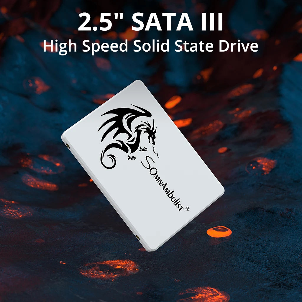 SomnAmbulist 2.5" SSD – 64GB, 128GB, 256GB & 512GB High-Speed Solid State Drive for Laptops and Desktops by DNiCT