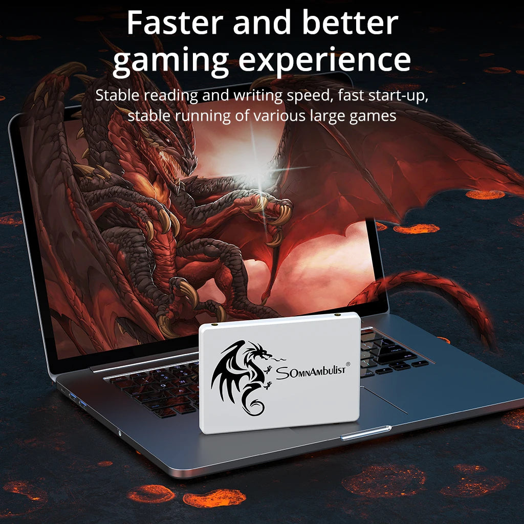 SomnAmbulist 2.5" SSD – 64GB, 128GB, 256GB & 512GB High-Speed Solid State Drive for Laptops and Desktops by DNiCT