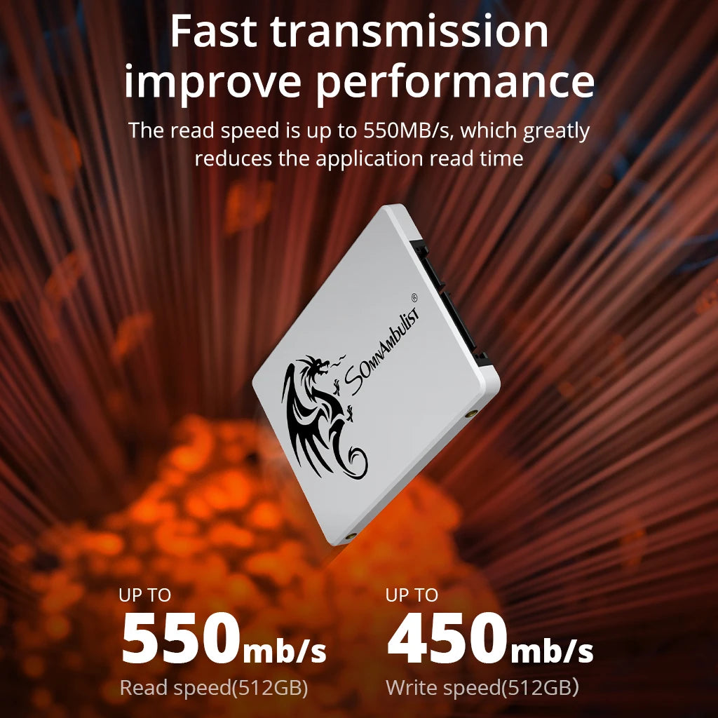 SomnAmbulist 2.5" SSD – 64GB, 128GB, 256GB & 512GB High-Speed Solid State Drive for Laptops and Desktops by DNiCT